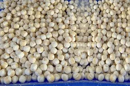 Brown Sugar Boba Powder
